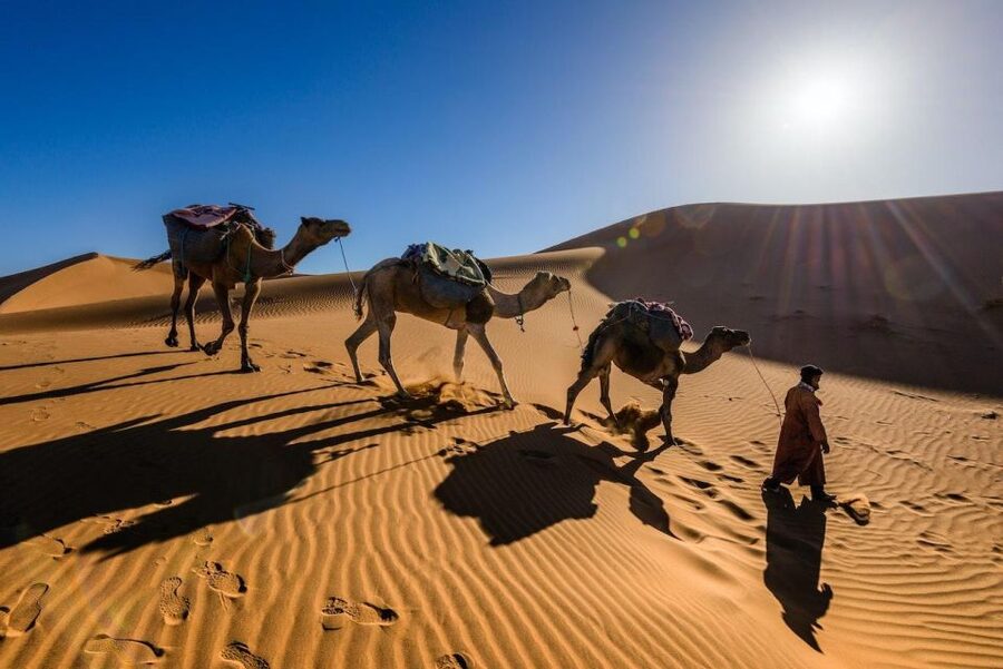 From Marrakech: 3-Day Luxury Desert Tour to Fes via Merzouga - Who will enjoy this route most
