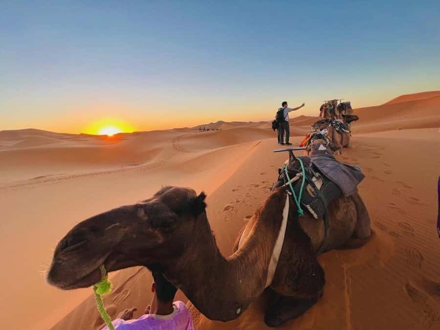 From Marrakech: 3-Day Luxury Desert Tour to Fes via Merzouga - Todgha Gorge brings cliffs before the dunes