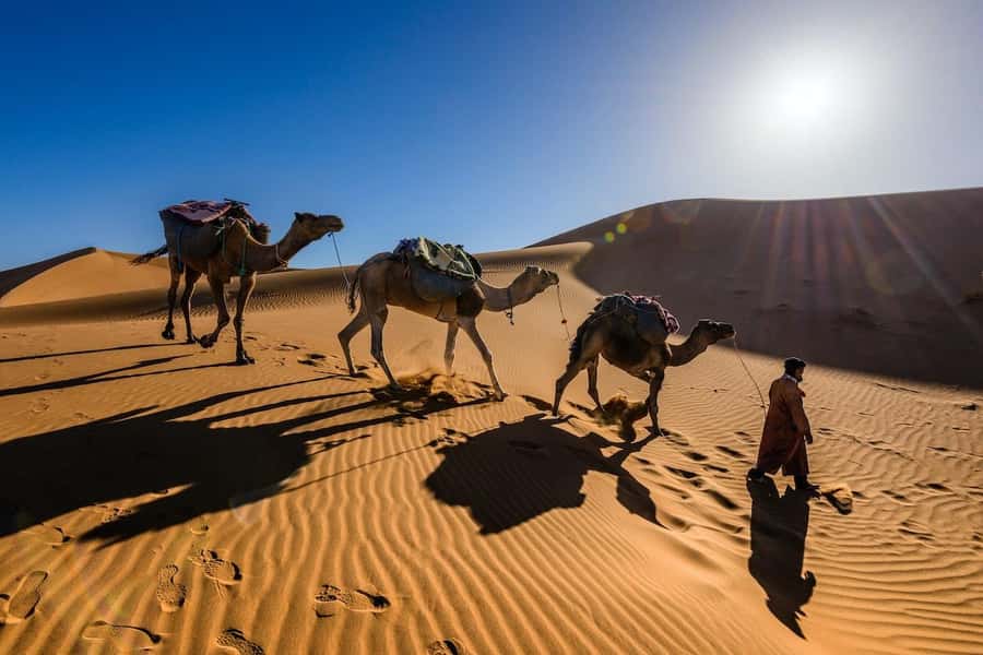 From Marrakech: 3-Day Luxury Desert Tour to Fes via Merzouga - The camel ride into Erg Chebbi