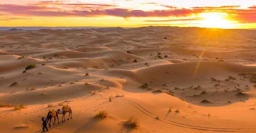 From Marrakech: 3 Days Desert Tour To Merzouga Luxury Camp - What the $223 price really covers