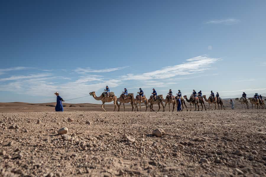 From Marrakech: VIP Agafay Desert & Oasis Camel Experience - From Marrakech streets to Agafay stone