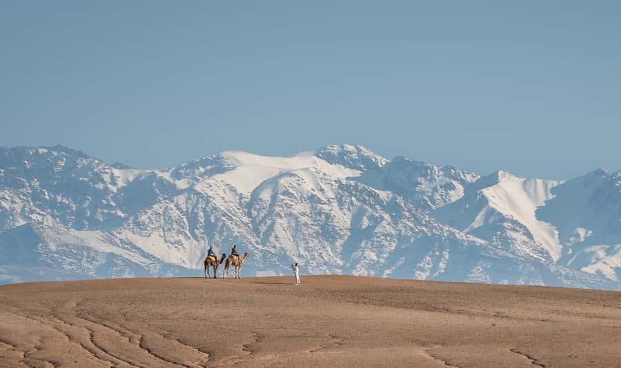 From Marrakech: VIP Agafay Desert & Oasis Camel Experience - An oasis welcome before the camel ride