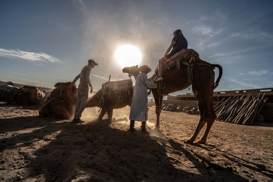 From Marrakech: VIP Agafay Desert & Oasis Camel Experience - A local house, tea, and a welcome pause