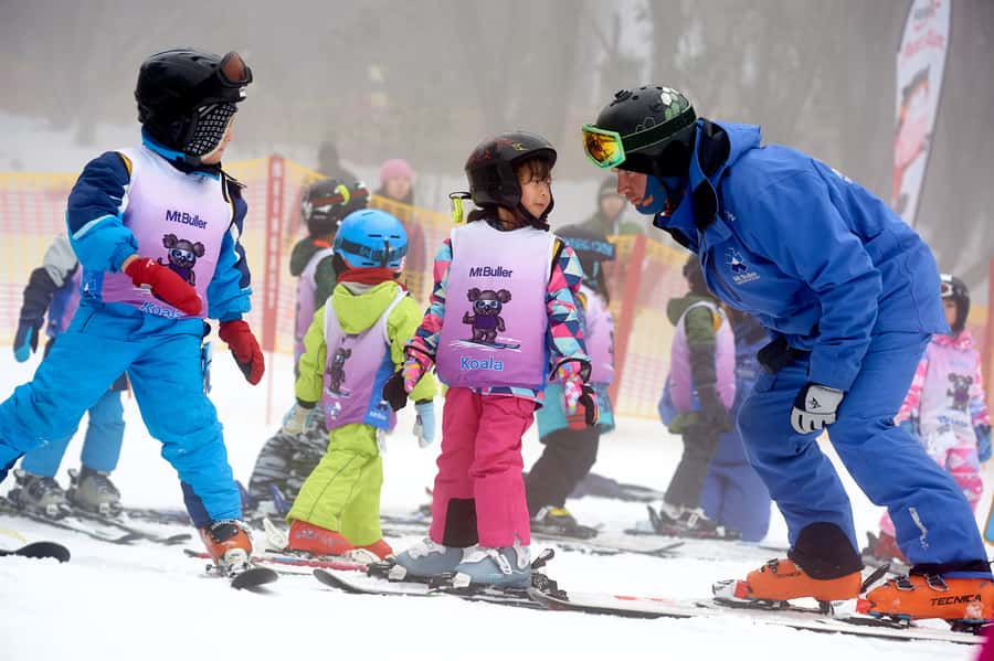 From Melbourne: Day Trip to Mt Buller by Premium Tour Coach - Key points to know before booking