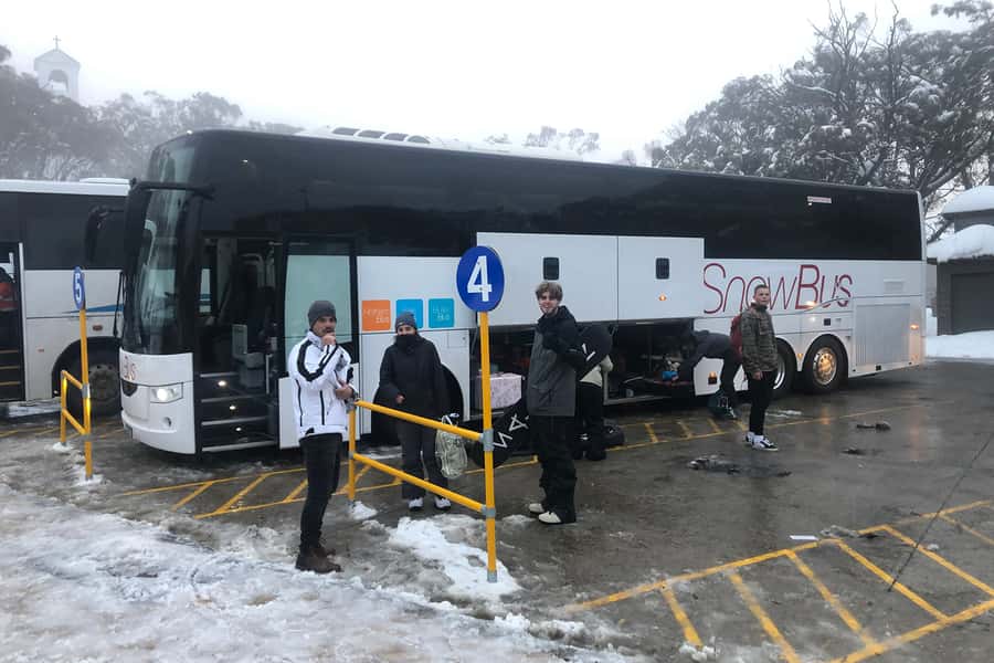 From Melbourne: Day Trip to Mt Buller by Premium Tour Coach - Should you book the Mt Buller coach trip?