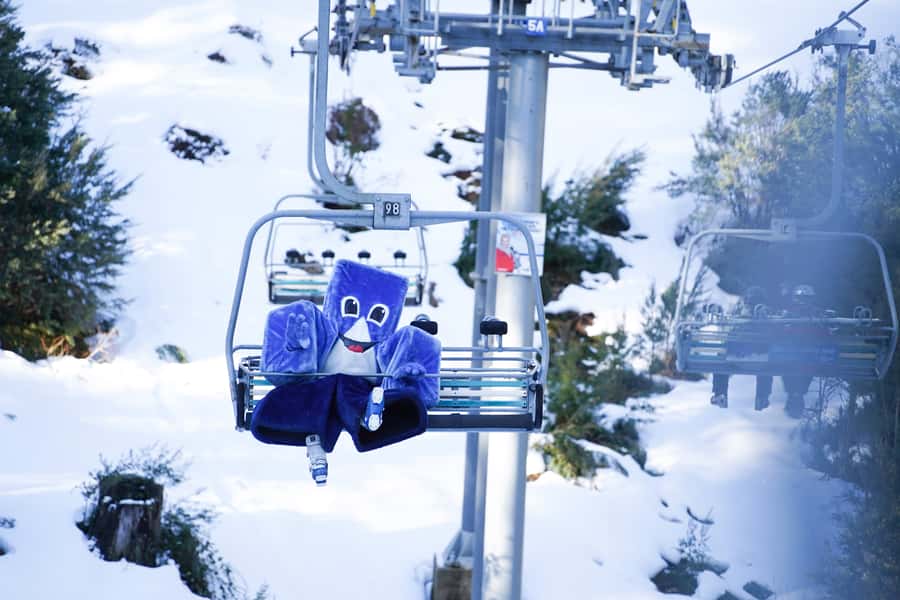 From Melbourne: Day Trip to Mt Buller by Premium Tour Coach - The road from Melbourne to Mt Buller