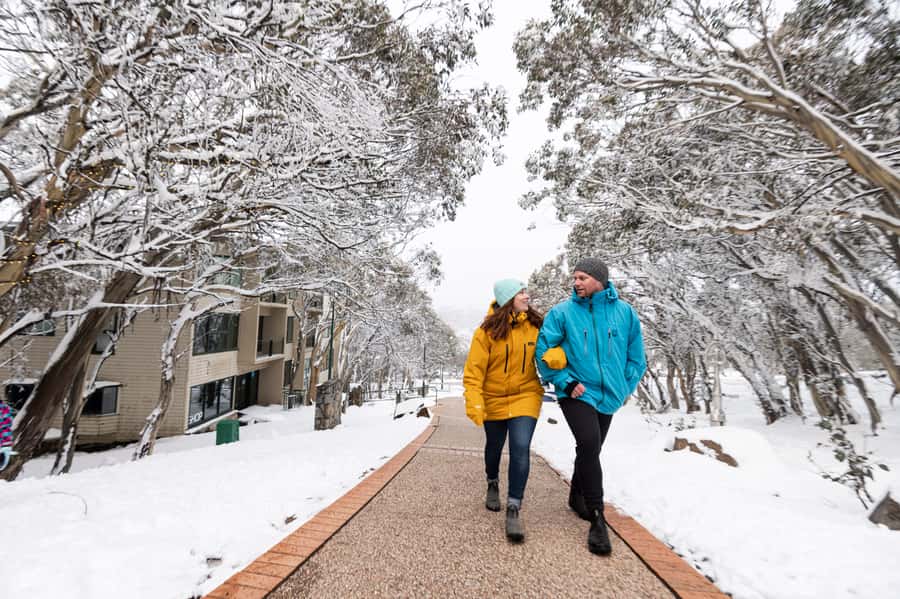 From Melbourne: Day Trip to Mt Buller by Premium Tour Coach - Timing, the return drive, and the long day