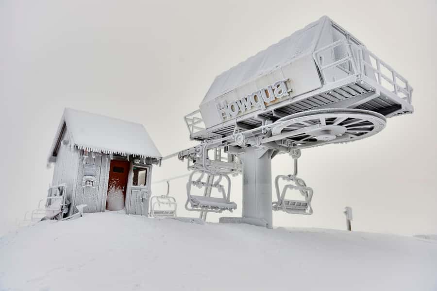 From Melbourne: Day Trip to Mt Buller by Premium Tour Coach - Who should choose this Mt Buller trip?