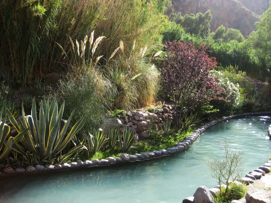 From Mendoza: Premium Spa Day at the Cacheuta Hot Springs - Is $156 a fair price?