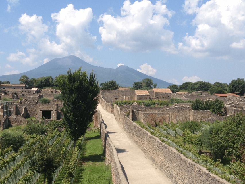 From Naples: Pompeii Ruins VIP Guided Tour - Why Pompeii works so well as a half-day trip from Naples