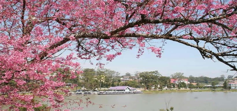 From Nha Trang: Best Seller Top Site Luxury Da Lat City Trip - Leaving Nha Trang for the Da Lat highlands