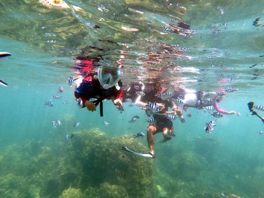 From Phuket: Phi Phi, Maya Bay, & Khai Islands Premium Trip - What the $52 price really covers