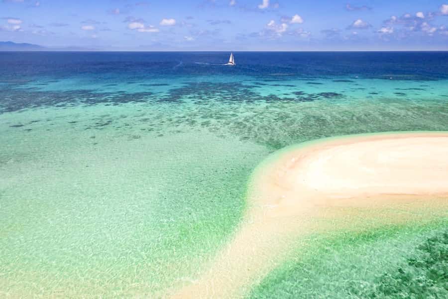 From Port Douglas: Outer Reef Cruise by Luxury Catamaran - A two-hour sail from Port Douglas to the Outer Reef