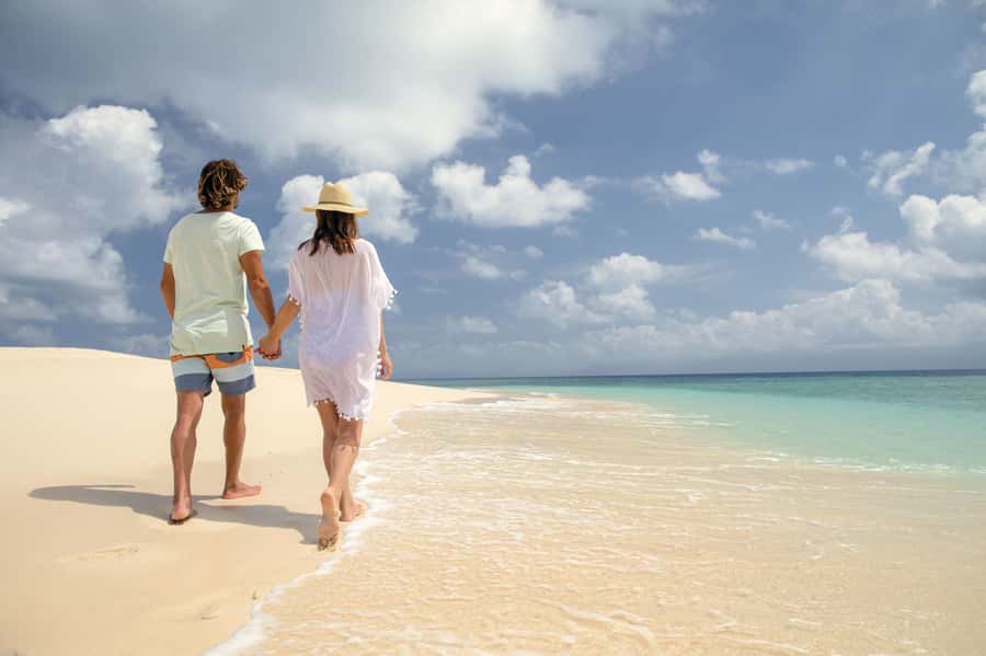 From Port Douglas: Outer Reef Cruise by Luxury Catamaran - A tropical buffet lunch back on the catamaran