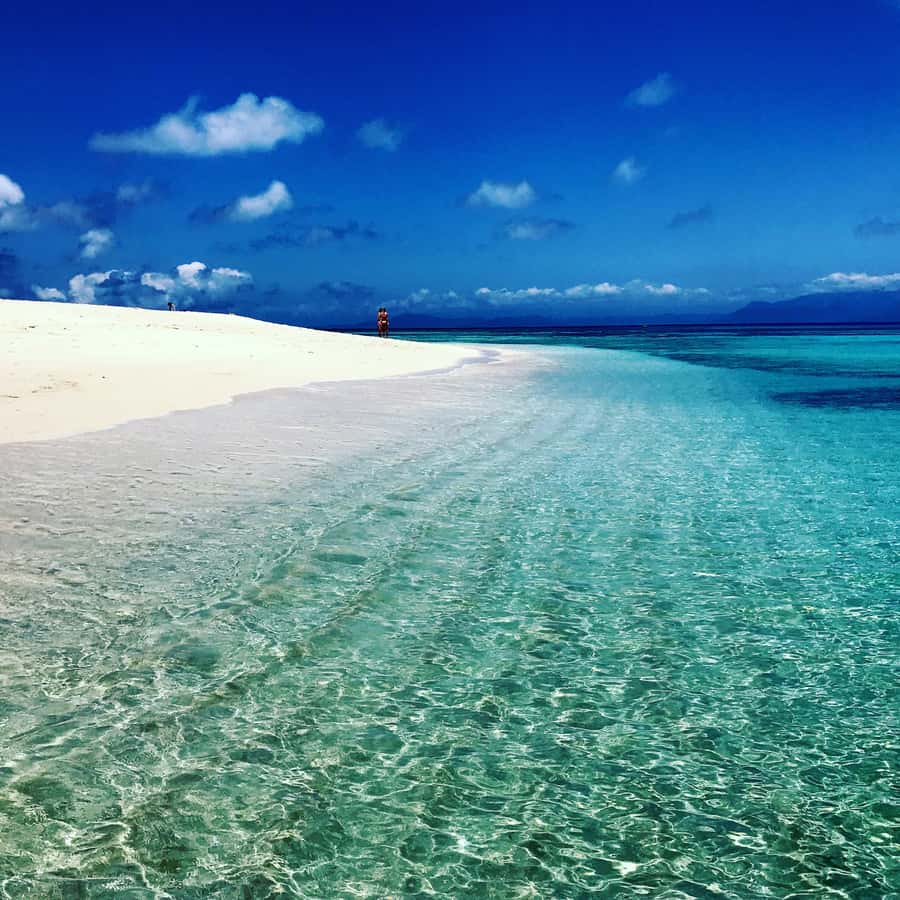From Port Douglas: Outer Reef Cruise by Luxury Catamaran - What the $240 price really covers