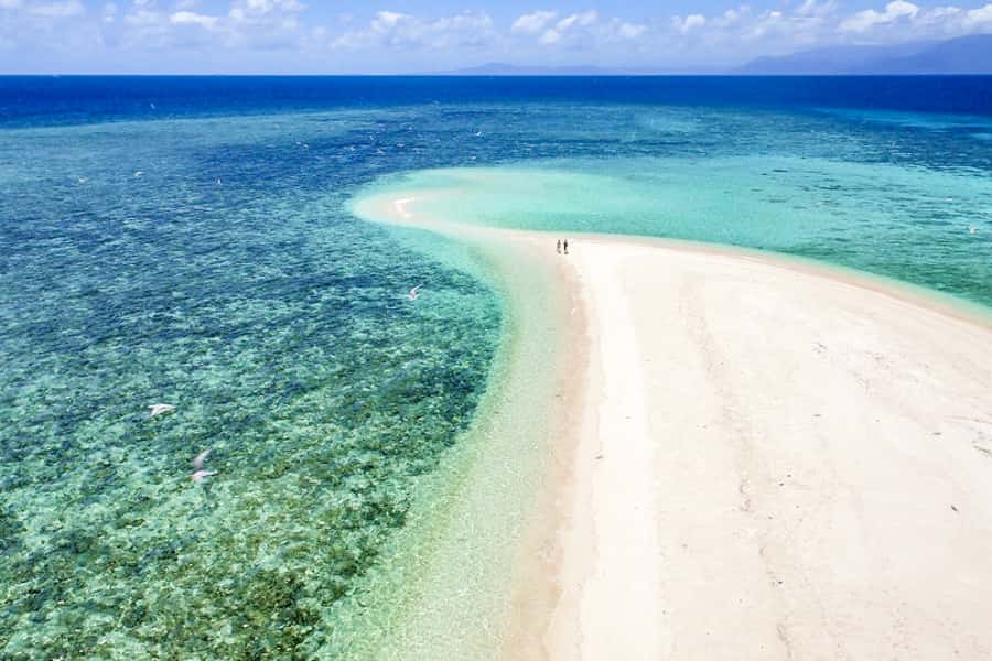 From Port Douglas: Outer Reef Cruise by Luxury Catamaran - Who will enjoy this reef cruise most