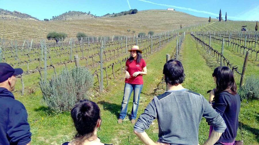 From Porto: Premium Douro Valley 4 Vineyards Tour with Lunch - From Porto to the Douro’s Terraced Hills