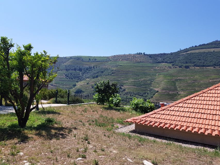 From Porto: Premium Douro Valley 4 Vineyards Tour with Lunch - Should You Book This Douro Valley Experience?