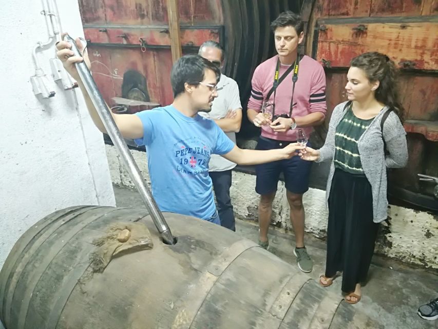 From Porto: Premium Douro Valley 4 Vineyards Tour with Lunch - Small Group Size and the Guide’s Role