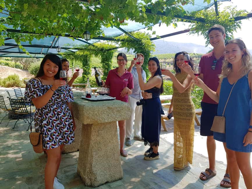 From Porto: Premium Douro Valley 4 Vineyards Tour with Lunch - Why the N222 Drive Matters