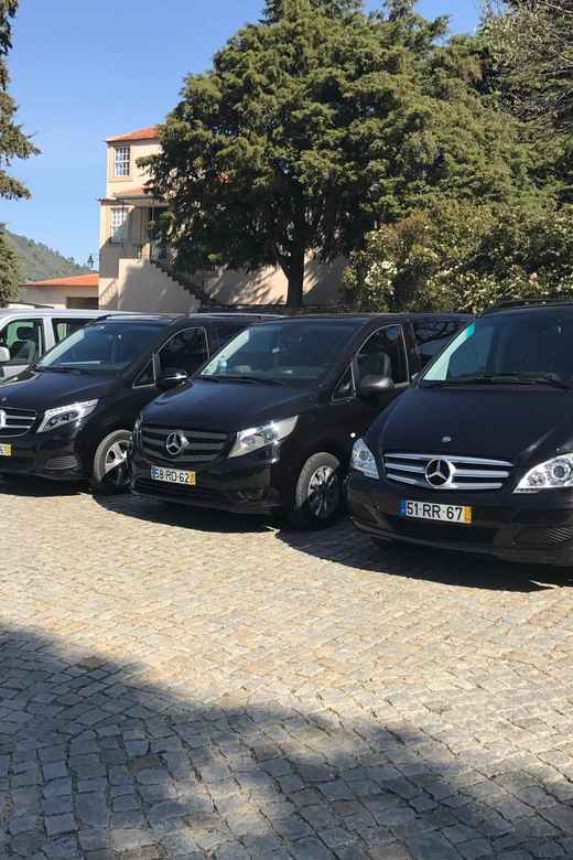 From Porto: Premium Douro Valley Small-Group Wine Tour - What makes this Douro day worth your time