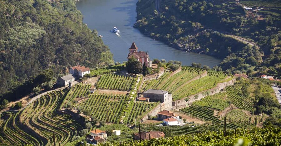 From Porto: Premium Douro Valley Small-Group Wine Tour - From Porto to the terraced Douro Valley