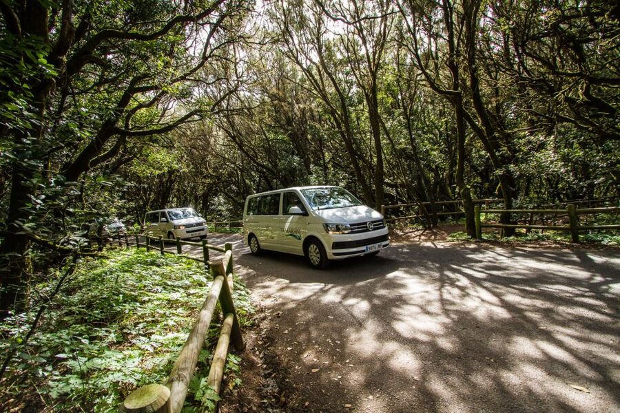 From Puerto de La Cruz: Full-Day Vip Tour to Gomera - Arure and the western mountain route