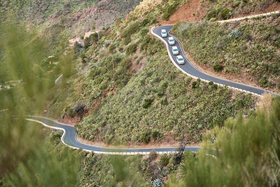 From Puerto de La Cruz: Full-Day Vip Tour to Gomera - What the guides add to the day