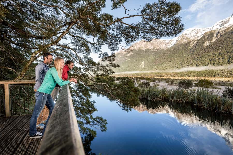 From Queenstown: Milford Sound Day Trip on Premium Coach - Key points to know before booking