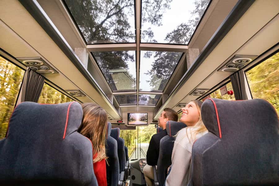 From Queenstown: Milford Sound Day Trip on Premium Coach - Why this is the easiest Milford Sound choice from Queenstown