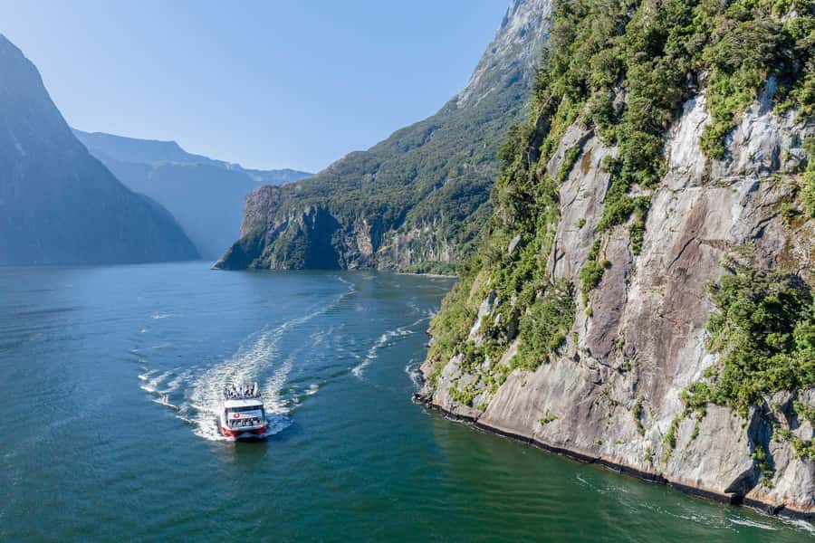 From Queenstown: Milford Sound Day Trip on Premium Coach - The Milford Sound road is part of the attraction