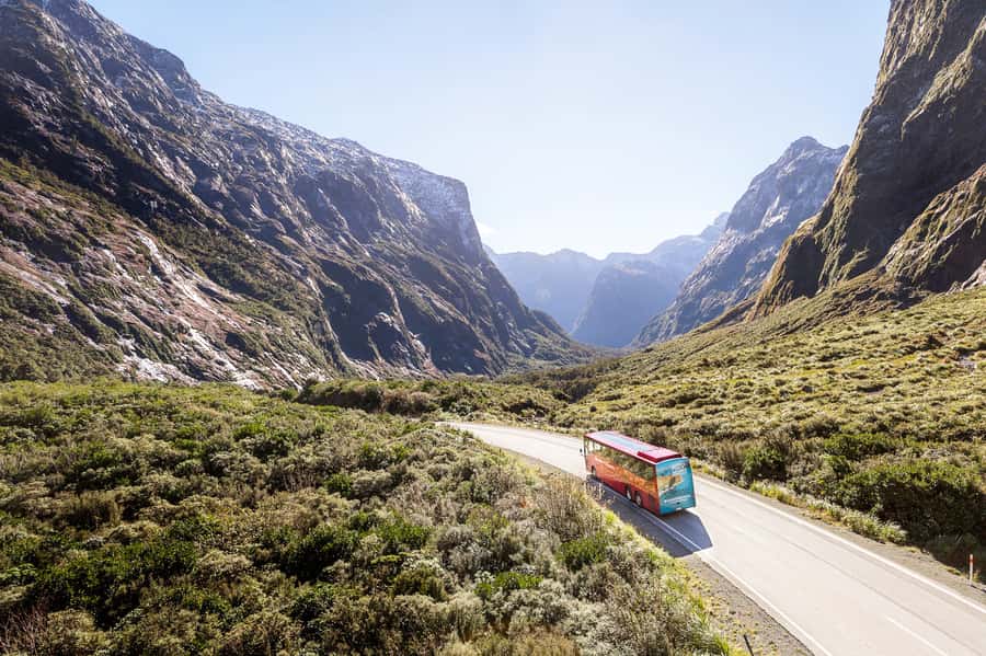 From Queenstown: Milford Sound Day Trip on Premium Coach - Boarding the two-hour Milford Sound nature cruise
