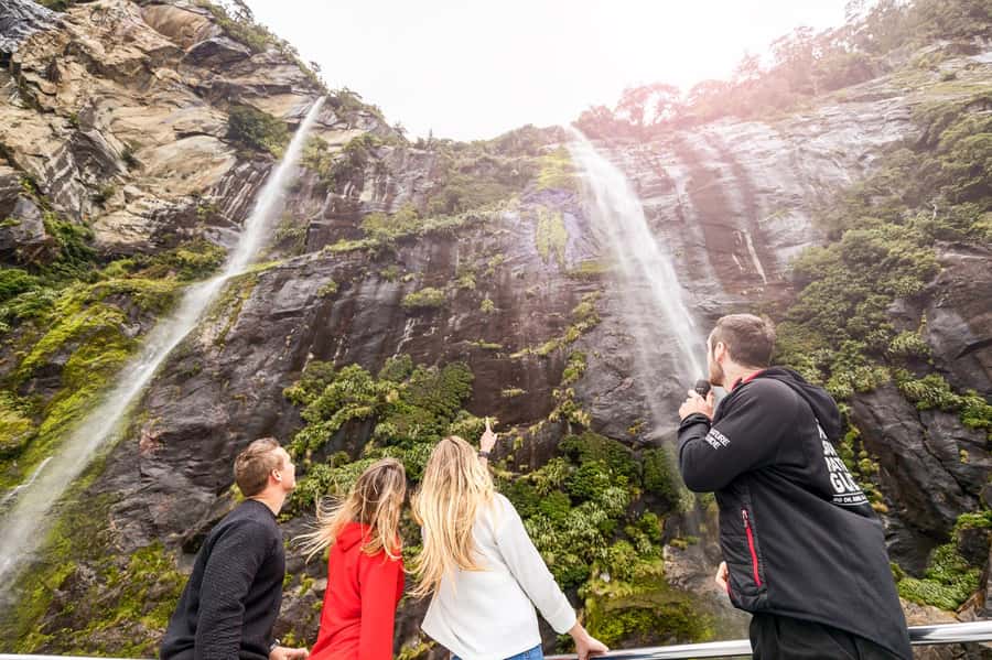 From Queenstown: Milford Sound Day Trip on Premium Coach - What is the value at $170?
