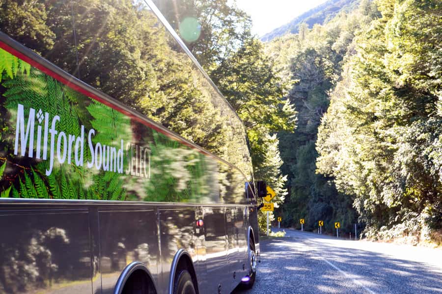 From Queenstown: Milford Sound Premium Day Tour and Cruise - Te Anau gives you a useful first break