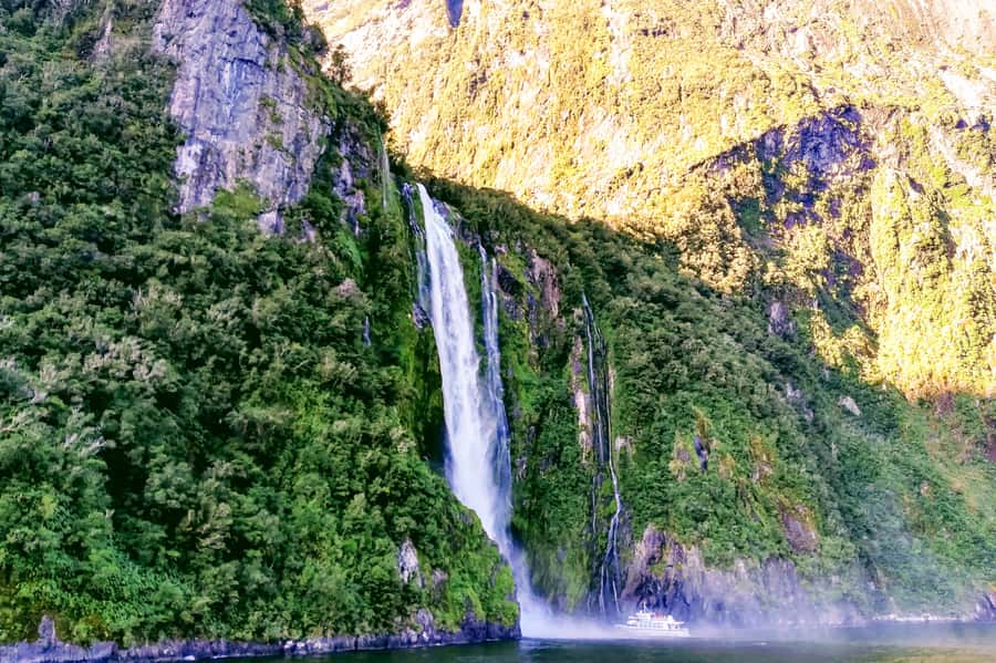 From Queenstown: Milford Sound Premium Day Tour and Cruise - Food, drinks, and what to pack