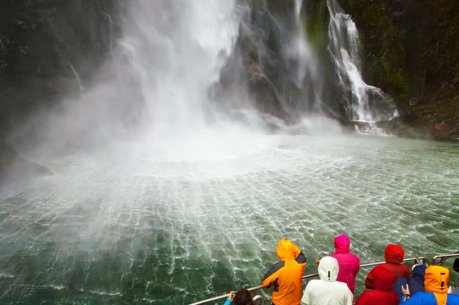 From Queenstown: Milford Sound Premium Day Tour and Cruise - Is $170 good value?