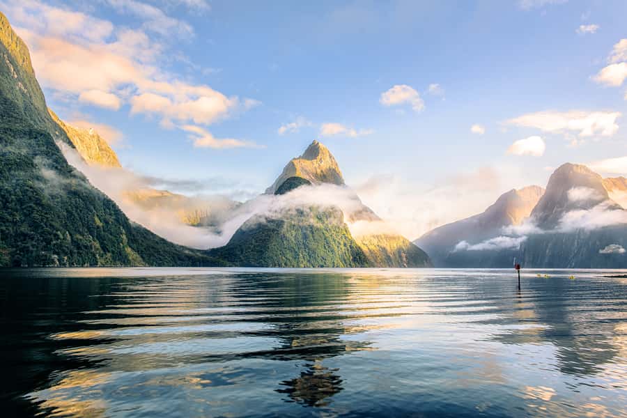 From Queenstown: Milford Sound Premium Day Tour and Cruise - Mirror Lakes and the short rainforest walk