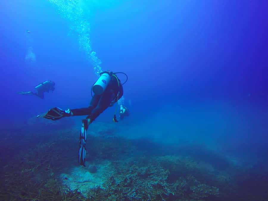 From Sharm: Luxury Diving cruise to Ras Mohammed with Lunch - The 90-minute break: snacks, snorkeling, and a chance to slow down