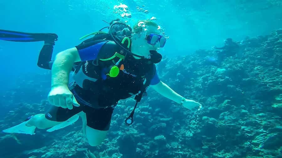 From Sharm: Luxury Diving cruise to Ras Mohammed with Lunch - The second stop and the choice that changes the day