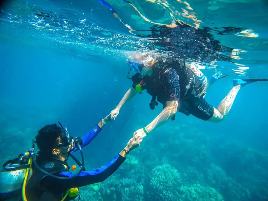 From Sharm: Luxury Diving cruise to Ras Mohammed with Lunch - From hotel reception to the Sharm marina