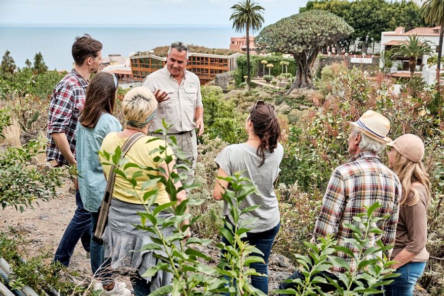 From South Tenerife: VIP Grand Tour Tenerife island - Key points at a glance