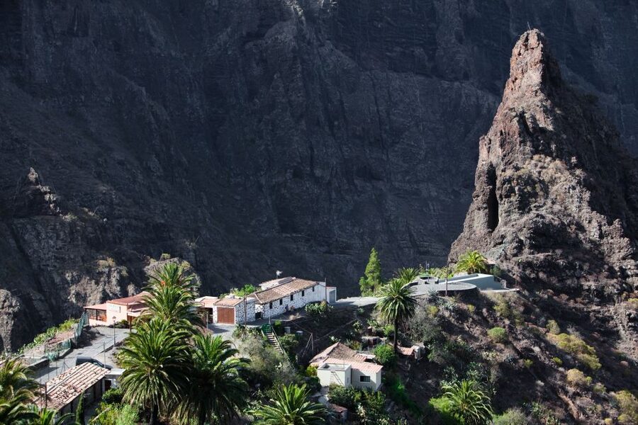 From South Tenerife: VIP Grand Tour Tenerife island - A full day built around Tenerife’s contrasts