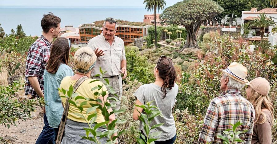 From South Tenerife: VIP Grand Tour Tenerife island - Masca and the island’s mountain roads