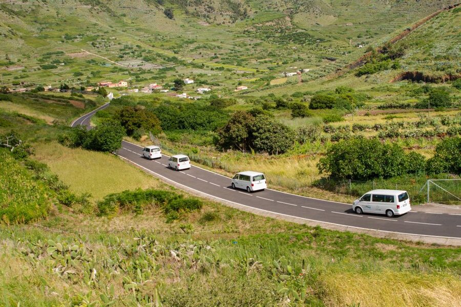 From South Tenerife: VIP Grand Tour Tenerife island - La Orotava and lunch with local flavor