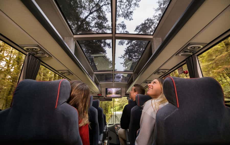 From Te Anau: Milford Sound Premium Bus Tour and Cruise - Key points at a glance