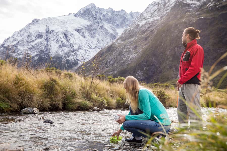 From Te Anau: Milford Sound Premium Bus Tour and Cruise - The return to Te Anau