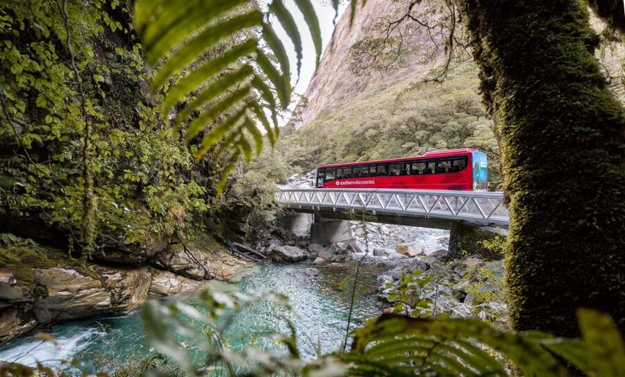 From Te Anau: Milford Sound Premium Bus Tour and Cruise - Arriving at Milford Sound and boarding the cruise