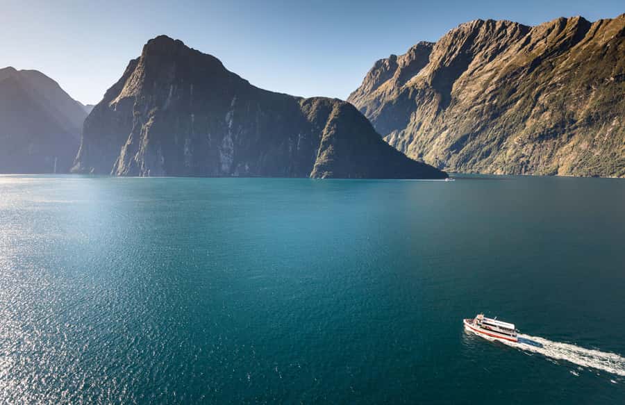 From Te Anau: Milford Sound Premium Bus Tour and Cruise - Wildlife and the run toward the Tasman Sea