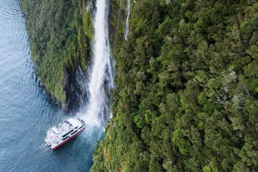 From Te Anau: Milford Sound Premium Bus Tour and Cruise - The drive through Eglinton Valley