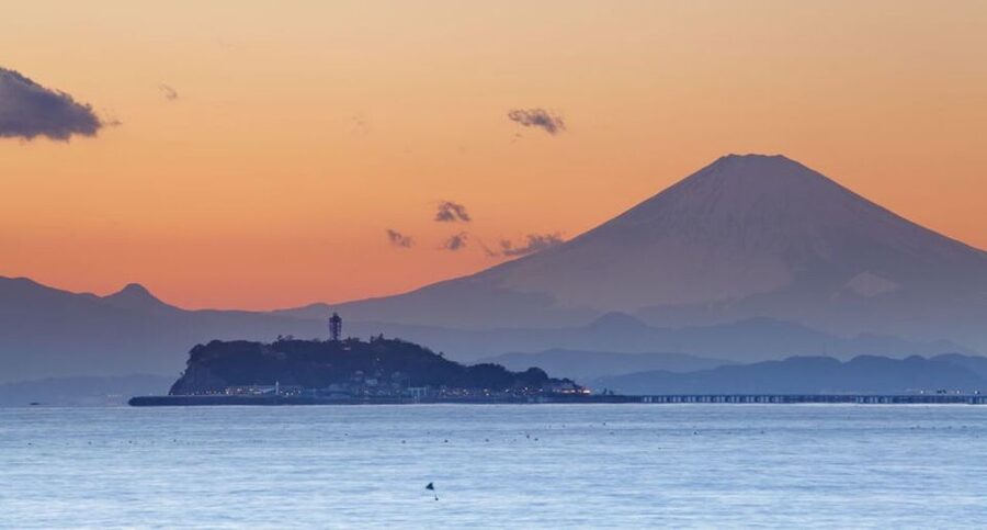 From Tokyo: Kamakura Private Customize Tour by Luxury Van - Walking Komachi Street toward Hachiman Shrine